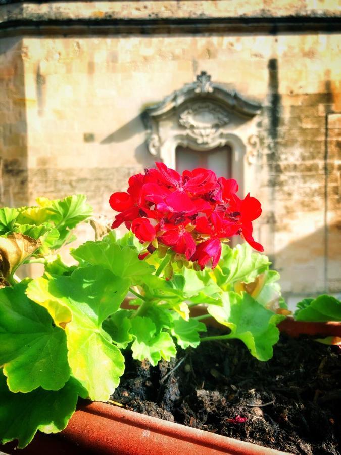 Palazzo Salia Bed & Breakfast Лече Екстериор снимка